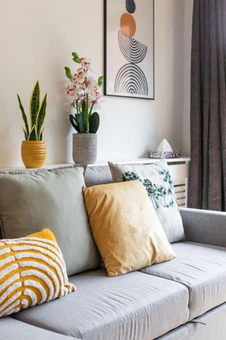 Best City Centre Luxurious Home Free Parking Belfast Ngoại thất bức ảnh